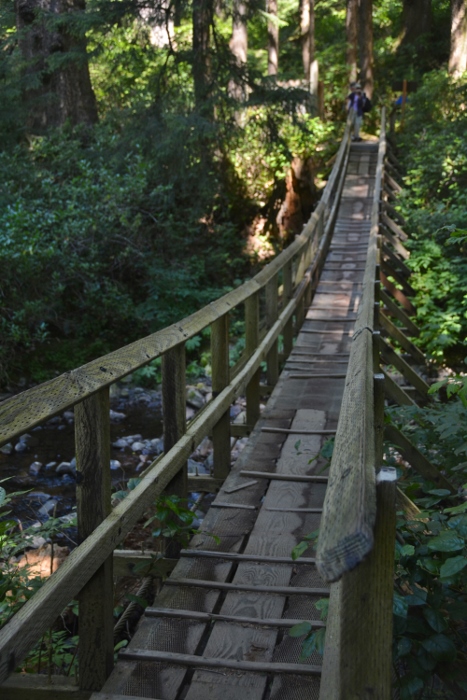 a swing bridge in OWSP